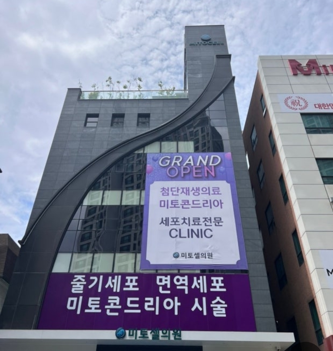 강남 미토셀의원